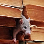 A&E Pest And Weed Control