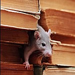 Atlas Pest Control Services