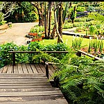 Wolf Trap Nursery